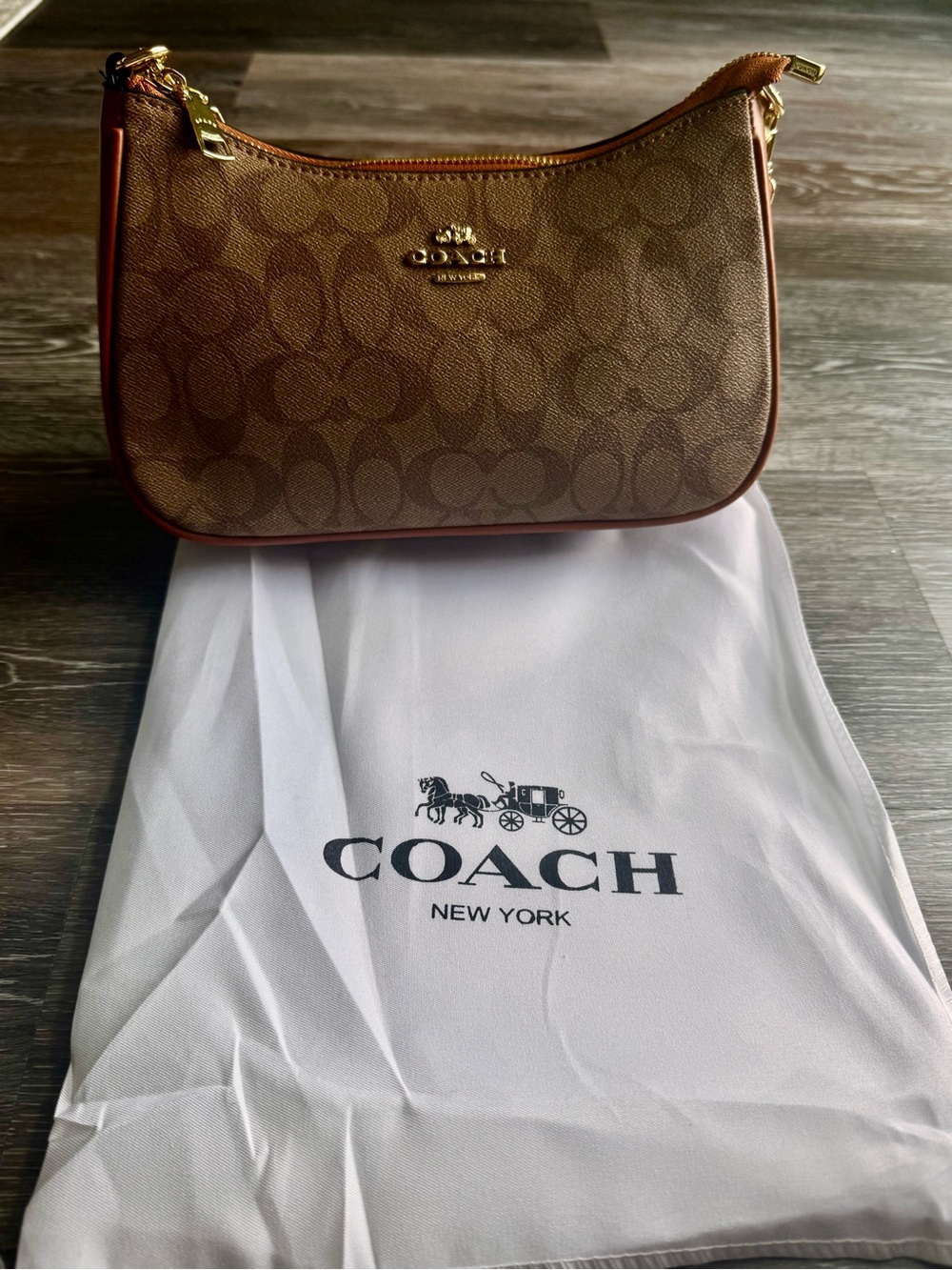 Coach Mini Shoulder Bag in Brown Signature Canvas with Gold Hardware